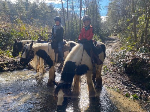 Two children on horseback in a wooded area, standing by a stream on a sunny day.