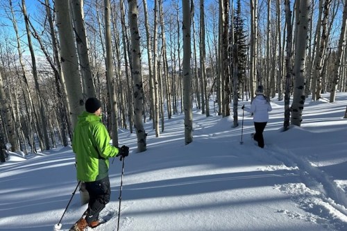 Two people snowshoeing through a snowy forest of tall trees on a sunny day.