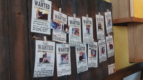 A wall display of "Wanted" posters featuring cats, each with photos and descriptions of their personalities.