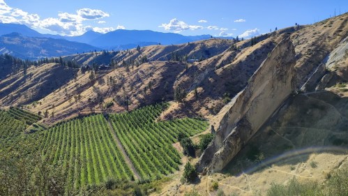 A scenic view of rolling hills with vineyards and mountains under a clear blue sky.