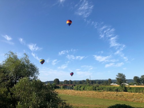 Three colorful hot air balloons float in a clear blue sky over a green landscape with trees and fields.