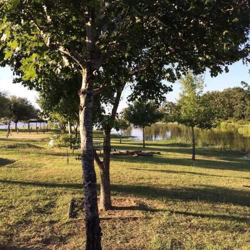 A serene park scene with trees, grass, and a calm body of water reflecting the blue sky.