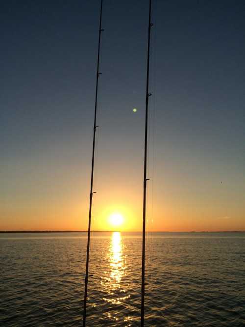 Silhouette of fishing rods against a sunset over calm water, with golden reflections on the surface.