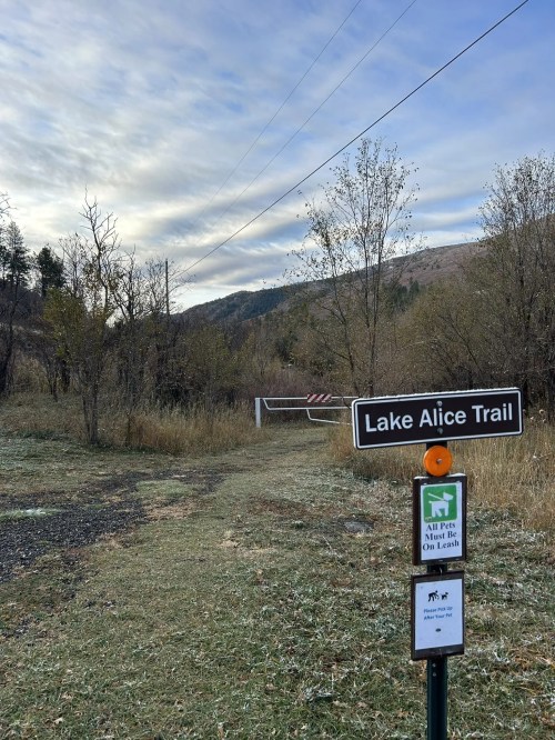 Sign for Lake Alice Trail with a warning for pets, surrounded by trees and a cloudy sky in the background.