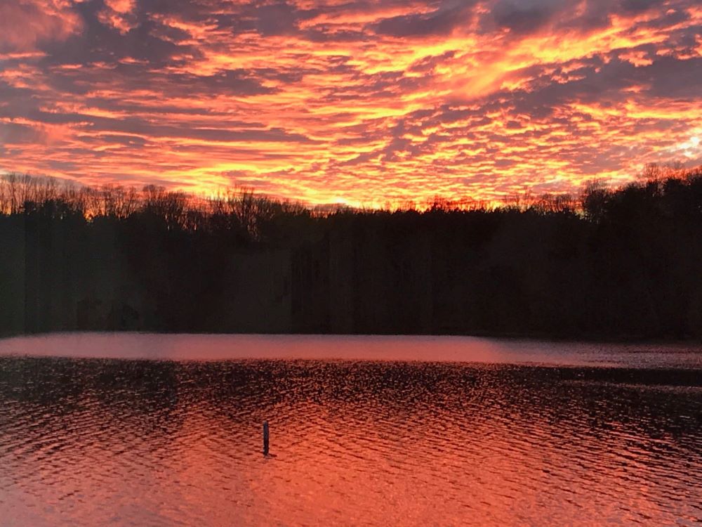 Belews Lake