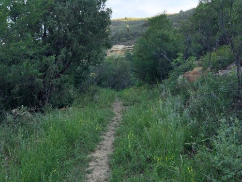 A narrow dirt path winds through lush greenery and trees, leading into a hilly landscape.