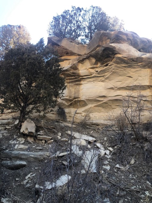 Rocky cliffside with layered sandstone, sparse vegetation, and scattered boulders in a natural landscape.