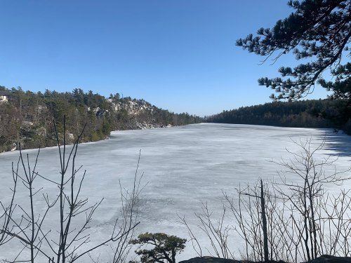 A frozen lake surrounded by trees under a clear blue sky, with rocky hills in the background.