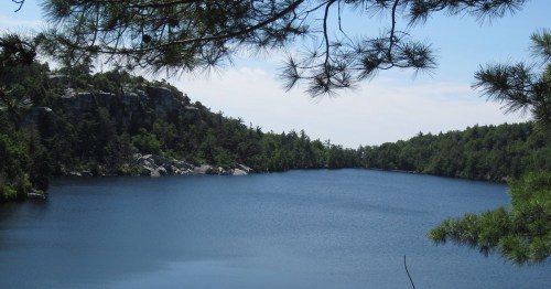 A serene lake surrounded by lush greenery and rocky hills under a clear blue sky.