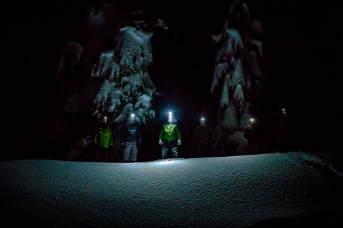 A group of people wearing headlamps stands in a snowy forest at night, illuminated by their lights.