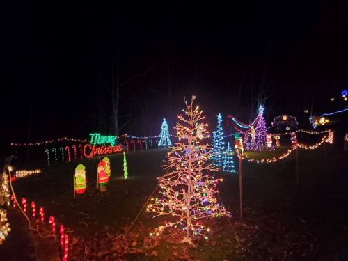 Colorful Christmas lights illuminate a dark yard, featuring decorated trees and festive signs.