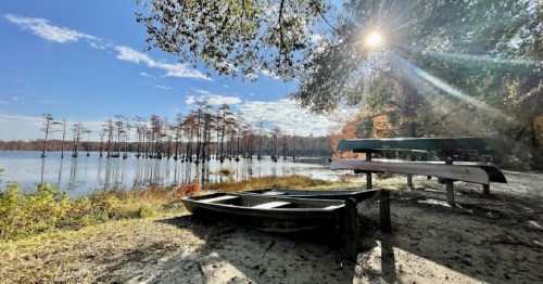 A serene lakeside scene with a small boat, picnic table, and cypress trees under a bright blue sky.