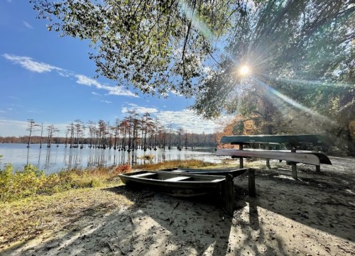 A serene lakeside scene with a small boat, picnic tables, and cypress trees under a bright blue sky.