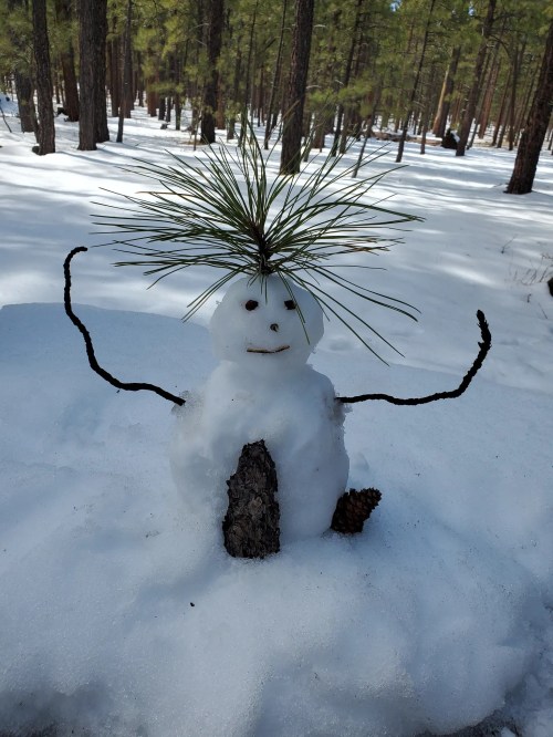 A snowman with a pine needle hairstyle and twig arms, sitting on a snowy ground surrounded by pine trees.