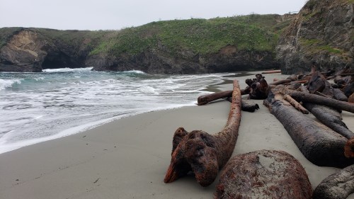 A sandy beach with driftwood logs, gentle waves, and green hills in the background under a cloudy sky.