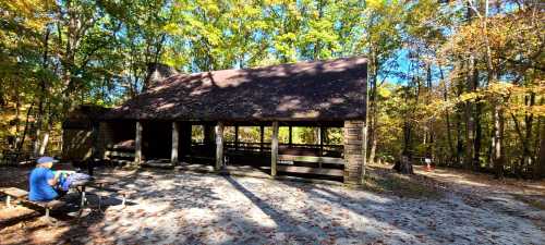 A rustic shelter in a wooded area with autumn foliage, featuring a picnic table and a person sitting nearby.