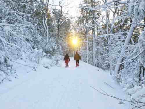 A couple walks on a snowy path through a forest, with sunlight shining through the trees.