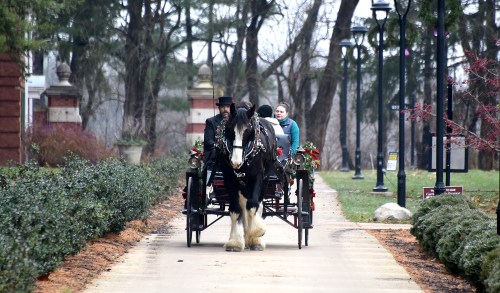 A horse-drawn carriage with two passengers travels down a tree-lined path, decorated with holiday greenery.