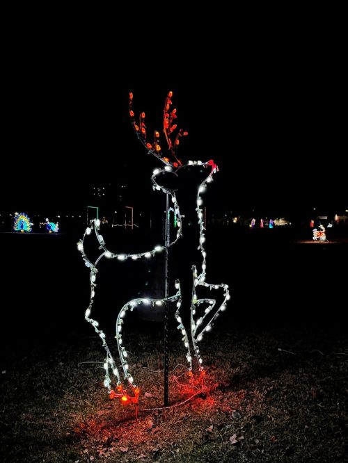 A lit reindeer decoration stands in a dark field, surrounded by colorful holiday lights in the background.