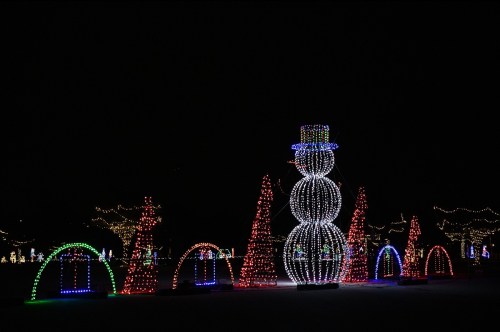 Colorful holiday lights create a festive scene with a large snowman and decorated trees against a dark night sky.