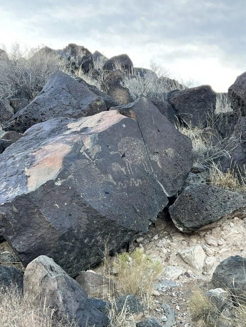 Petroglyphs etched on a large dark rock, surrounded by smaller stones and sparse vegetation under a cloudy sky.