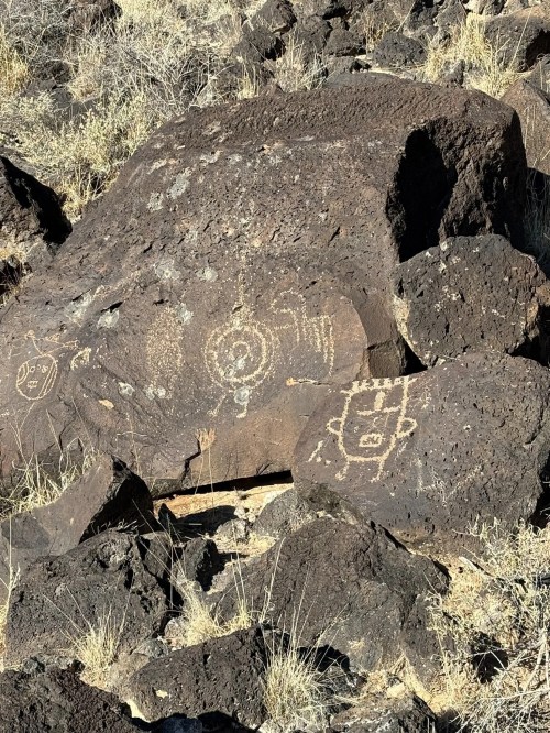 Petroglyphs carved into dark volcanic rock, depicting abstract figures and symbols, surrounded by dry grass.