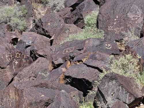 Petroglyphs etched on dark rocks, surrounded by sparse vegetation, showcasing ancient symbols and designs.