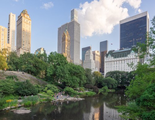 A scenic view of Central Park with lush greenery, a pond, and skyscrapers in the background under a blue sky.