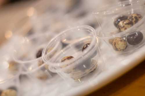 Clear plastic cups containing chocolate-covered and speckled quail eggs arranged on a white plate.