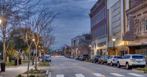 A quiet street lined with trees and parked cars, featuring buildings and streetlights under a cloudy sky.