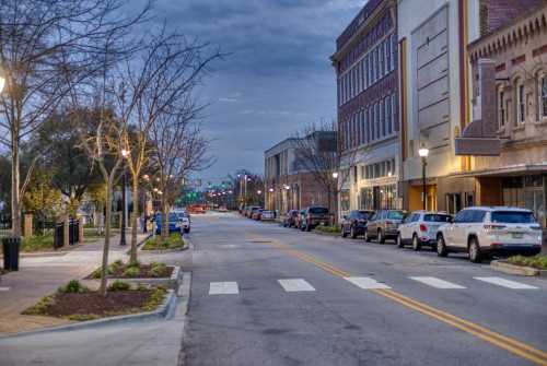 A quiet street lined with trees and parked cars, featuring buildings and streetlights under a cloudy sky.