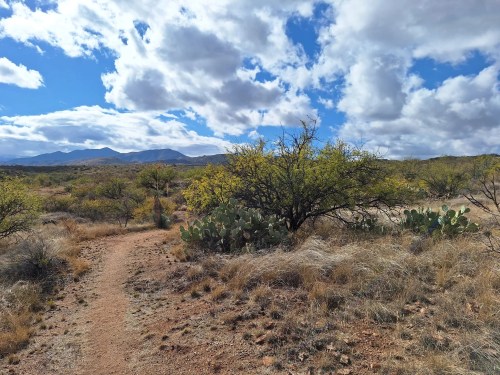 A desert landscape with a dirt path, cacti, and scattered shrubs under a partly cloudy sky. Mountains in the distance.