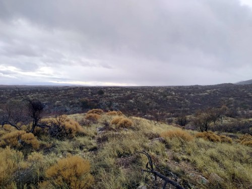 A vast, open landscape with sparse vegetation and cloudy skies, showcasing a mix of dry grass and shrubs.