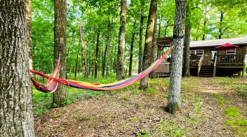 A colorful hammock strung between trees in a wooded area, with a cabin visible in the background.