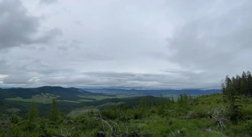 A panoramic view of rolling green hills under a cloudy sky, with distant mountains on the horizon.