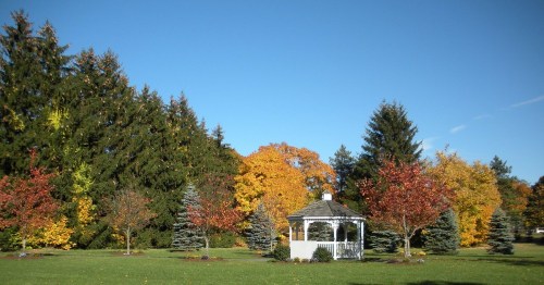 A white gazebo surrounded by colorful autumn trees and evergreens under a clear blue sky.