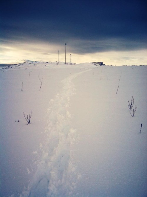 A snowy landscape with a path leading to a distant hill under a cloudy sky.