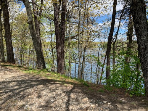 A serene lakeside scene with trees lining a gravel path under a blue sky with scattered clouds.