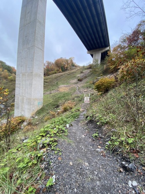 A dirt path leads up a hillside beneath a large concrete bridge, surrounded by autumn foliage and scattered debris.
