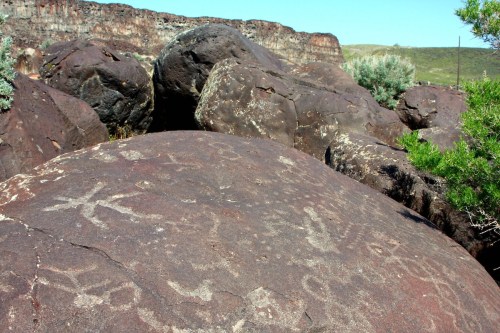 Petroglyphs etched into large rocks, surrounded by sparse vegetation and rocky terrain under a clear blue sky.