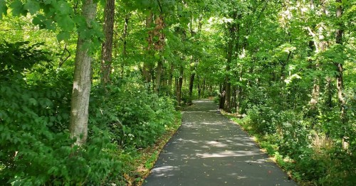A paved walking trail winds through a tunnel of lush green trees and dense foliage at Pioneer Park in Ohio during the summer.