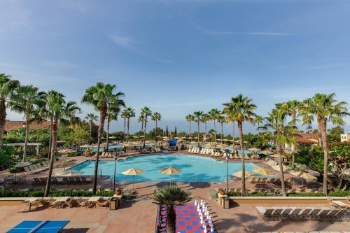 A sunny resort pool area surrounded by palm trees, lounge chairs, and umbrellas, with a clear blue sky above.