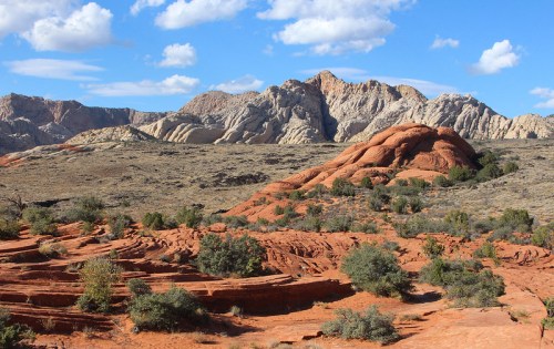 A desert landscape featuring red rock formations, shrubs, and distant mountains under a blue sky with scattered clouds.