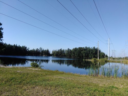 A serene landscape featuring a calm pond surrounded by trees and power lines under a clear blue sky.