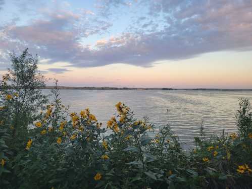 A serene lake at sunset, surrounded by wildflowers and soft clouds in a colorful sky.