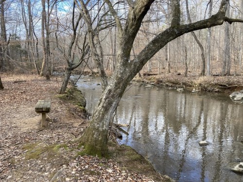 A serene stream flows beside a wooded area, with bare trees and a bench along the bank, reflecting the calm water.