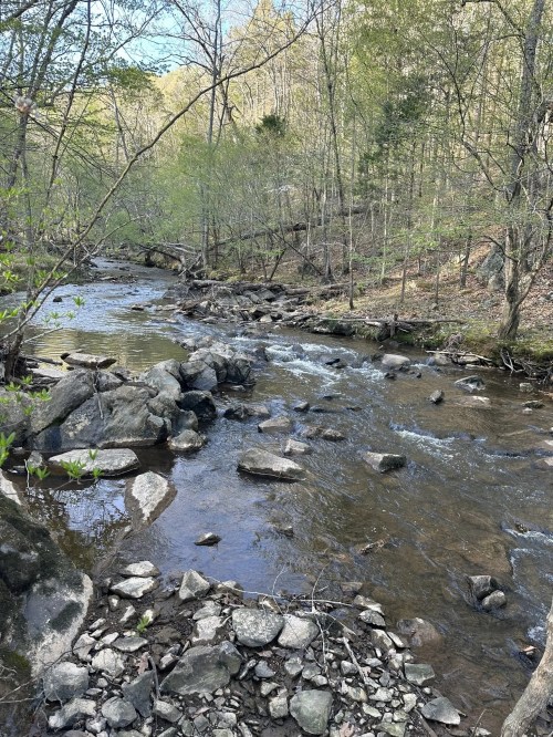 A serene river flows through a wooded area, surrounded by rocks and greenery under a clear sky.