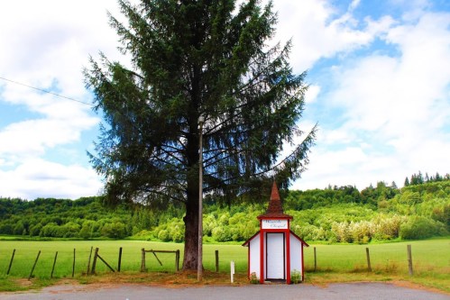 A small red and white structure stands beside a tall tree, with a green field and forested hills in the background.