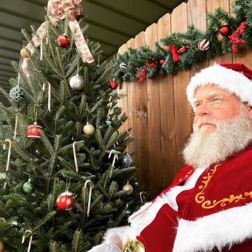 A jolly Santa Claus sits beside a decorated Christmas tree, with festive ornaments and candy canes.