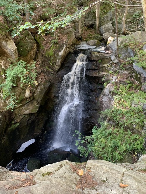 A serene waterfall cascading over rocks, surrounded by lush greenery and trees in a natural setting.